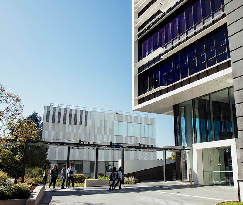 Universitäten // iStock SolStock